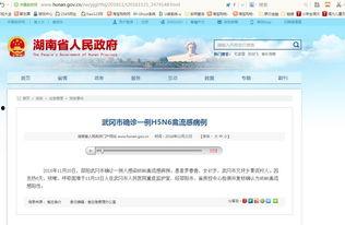 武冈新闻爆料最新消息,重大事件引发社会关注 第2张 武冈新闻爆料最新消息,重大事件引发社会关注 第2张